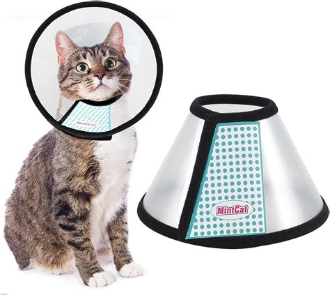 cat cone collar